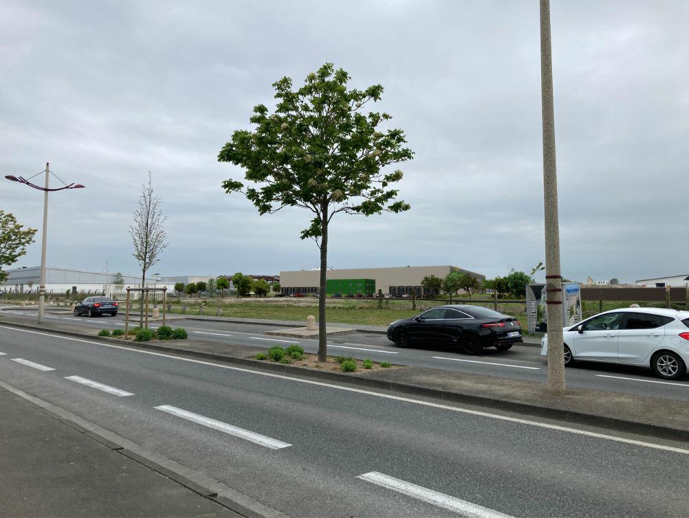 Location entrepôt classe a Calais Pas-de-Calais OLLOG2310666 5