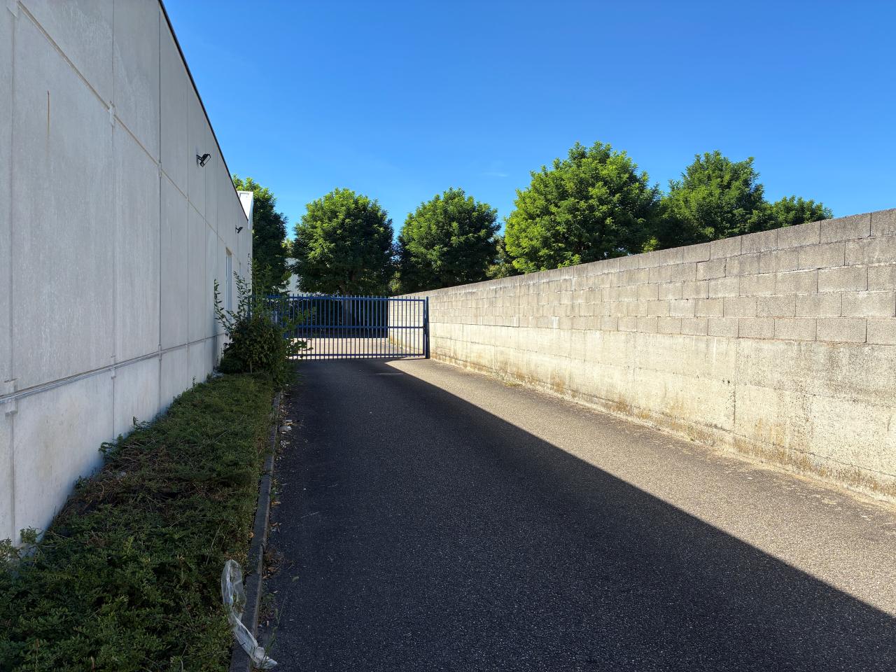 Location local d'activité Schiltigheim Bas-Rhin OLACT2644425 2