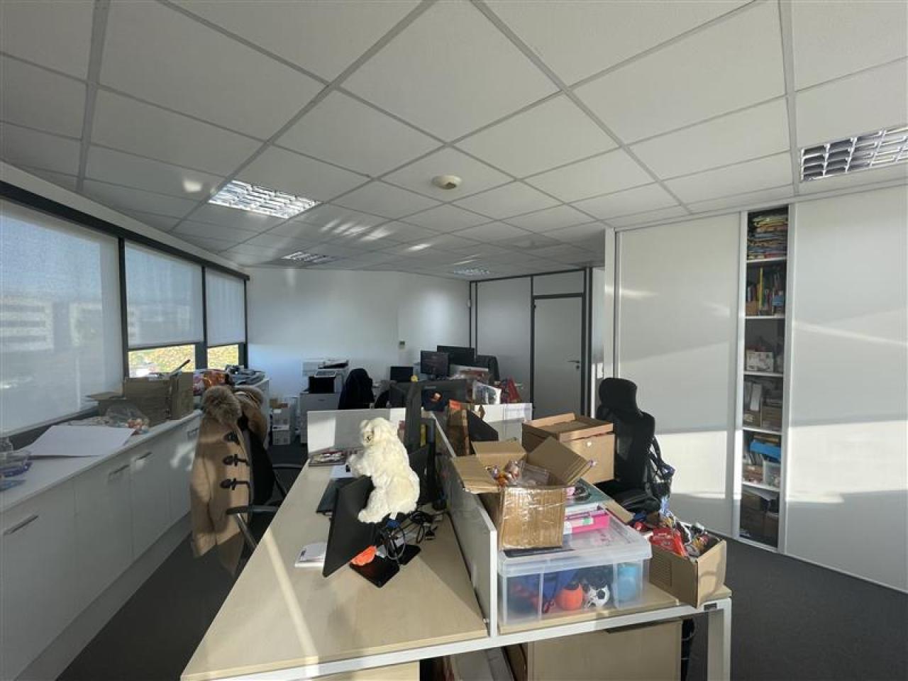 Vente bureau Montpellier Hérault OVBUR2537270 10