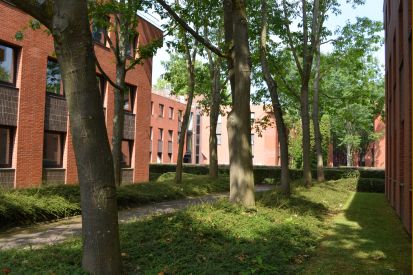 Location bureau Montigny-le-Bretonneux Yvelines OLBUR2103913 16