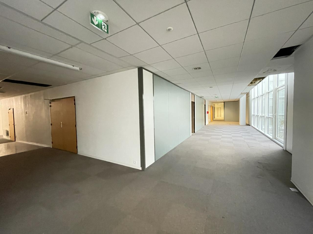 Location local d'activité Toulouse Haute-Garonne OLACT2207339 56