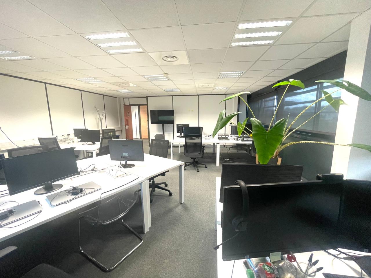 Location bureau Montpellier Hérault OLBUR2535192 7