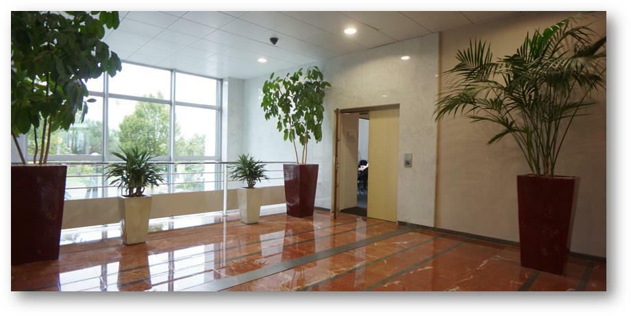 Location bureau Noisy-le-Grand Seine-Saint-Denis OLBUR2203716