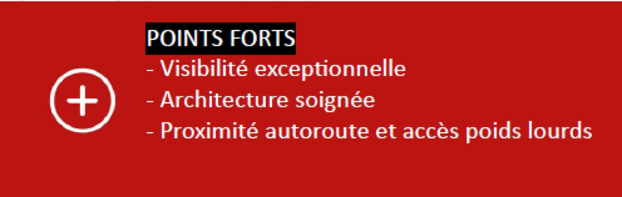 Vente local d'activité Péronnas Ain OVACT2311989 9