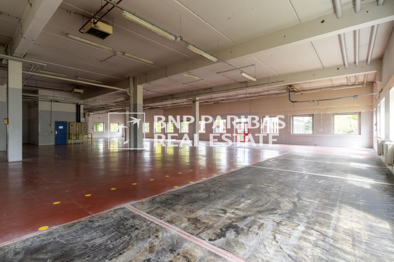 Location local d'activité Antony Hauts-de-Seine OLACT2309797 9