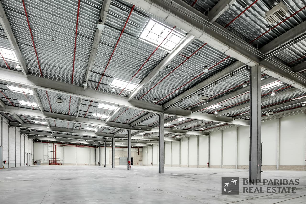 Location local d'activité Combs-la-Ville Seine-et-Marne OLACT2425674 5