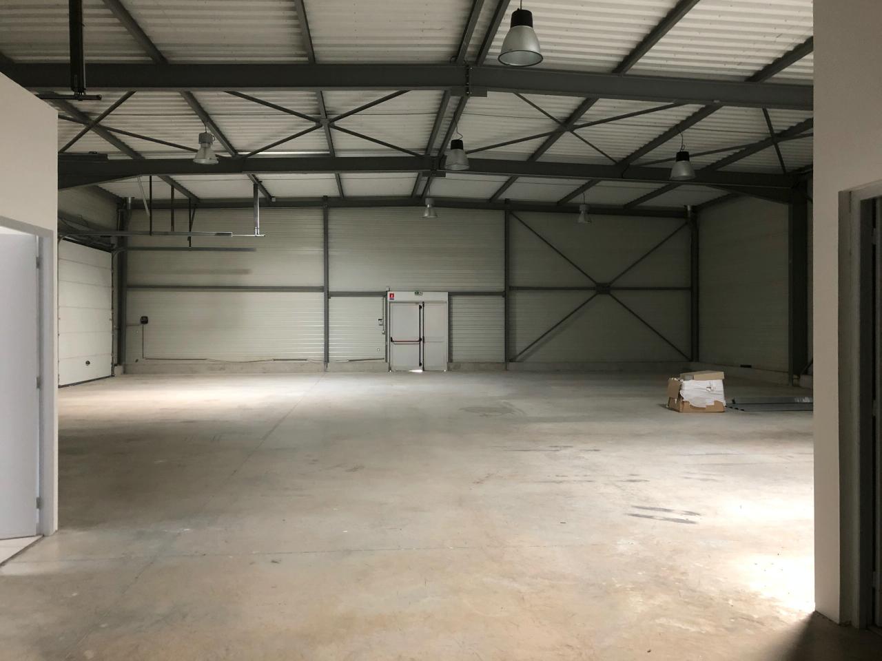 Location local d'activité Gallargues-le-Montueux Gard OLACT2428578 5