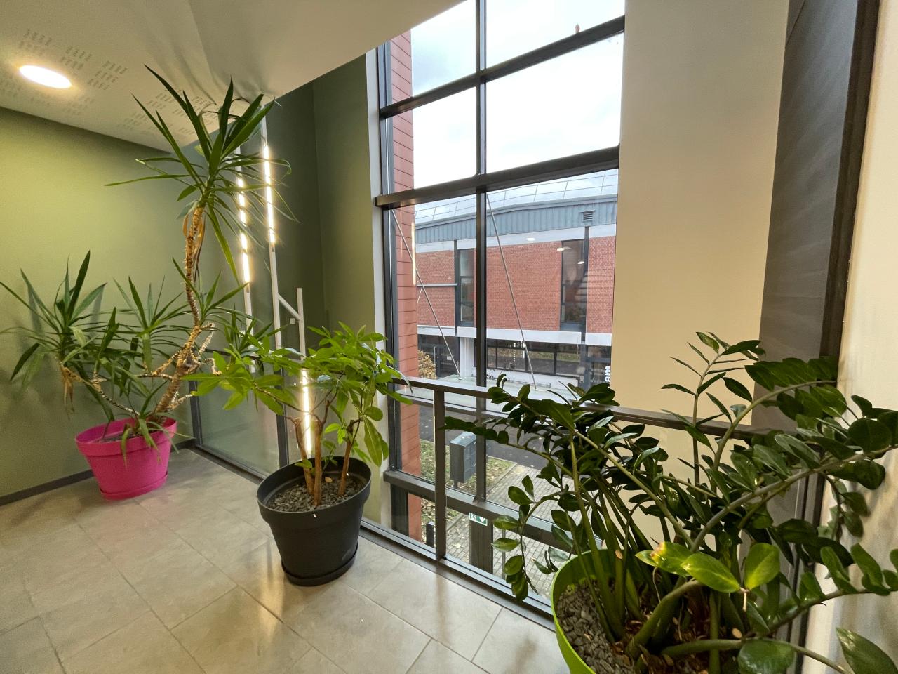 Location bureau Strasbourg Bas-Rhin OLBUR2110833 7