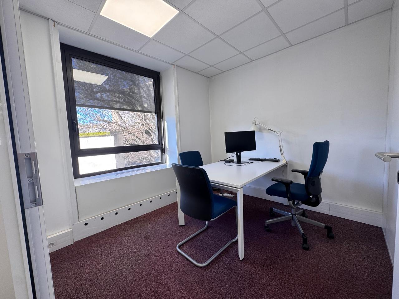 Location bureau Lyon Rhône OLBUR2537425 5