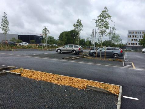 Location bureau Cesson-Sévigné Ille-et-Vilaine OLBUR2310797 4