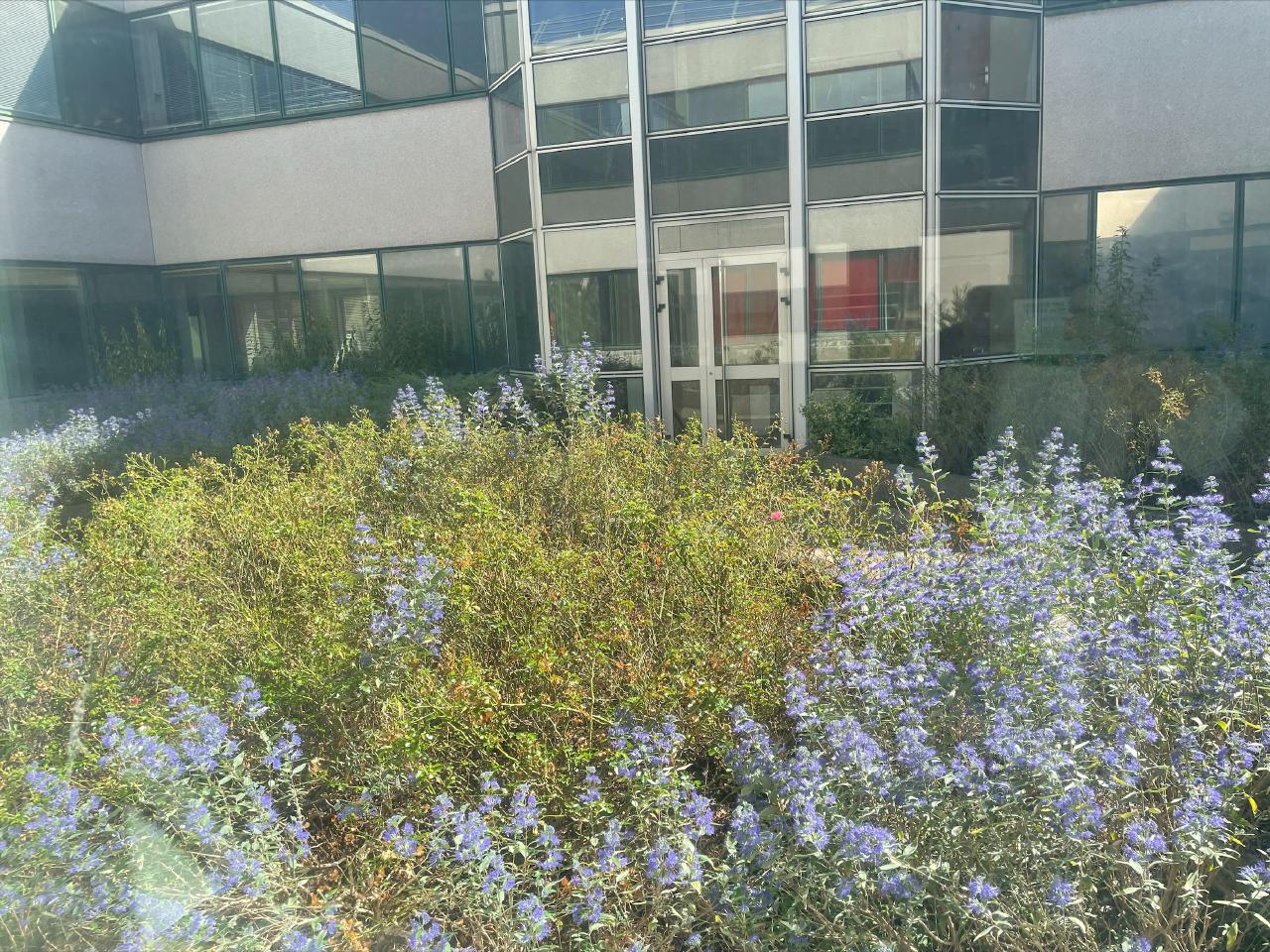 Location local d'activité Colombes Hauts-de-Seine OLACT2313653