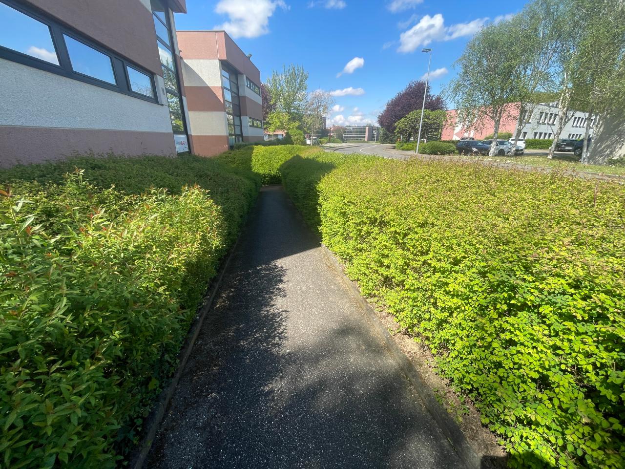 Vente bureau Oberhausbergen Bas-Rhin OVBUR2534415 1