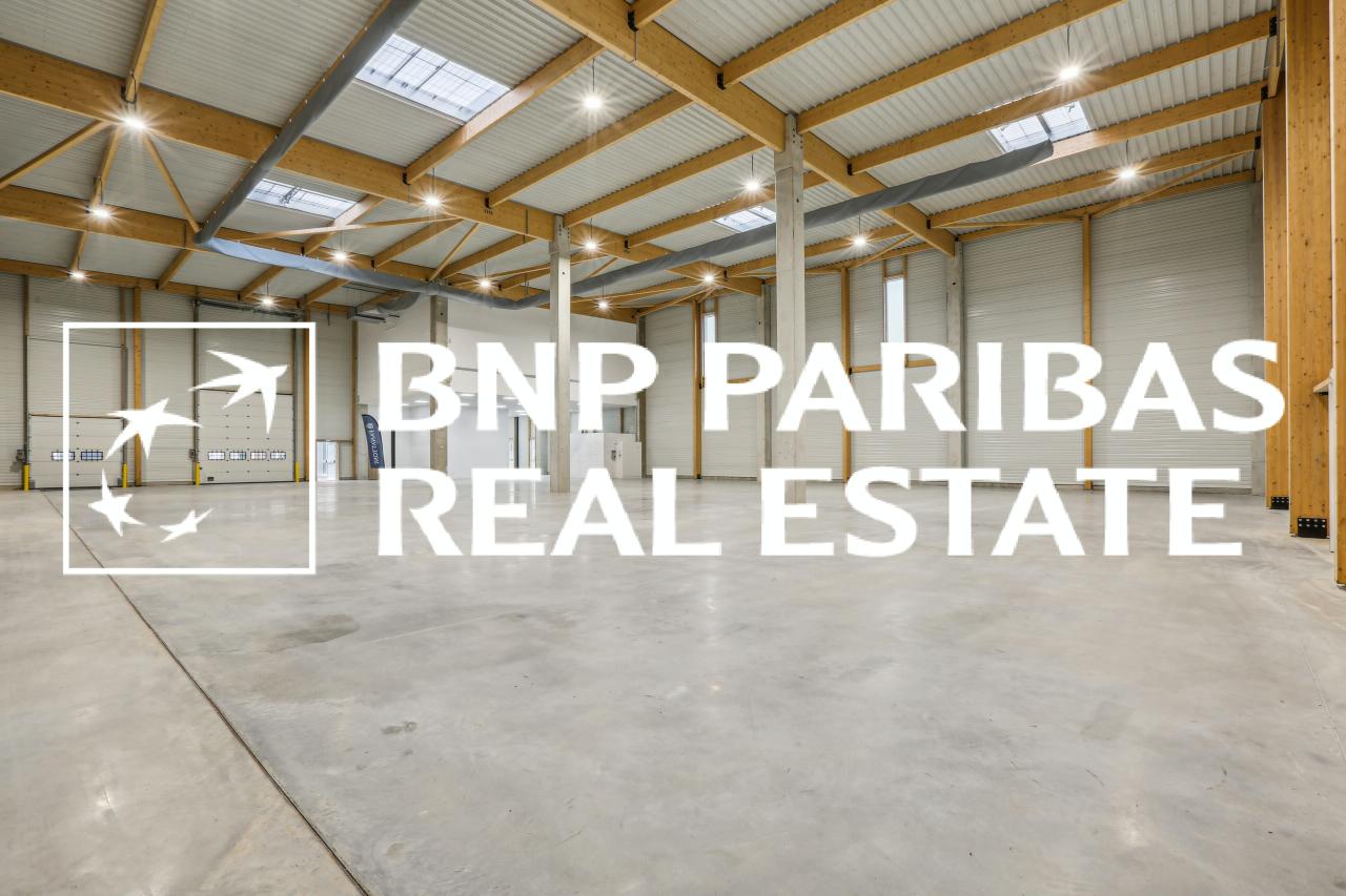 Location local d'activité Moissy-Cramayel Seine-et-Marne OLACT2201100 9