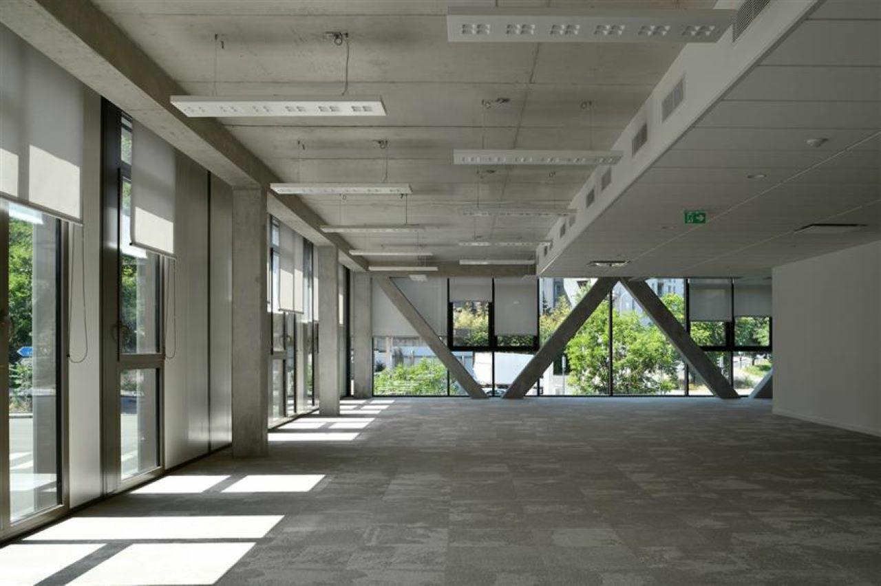 Location bureau Lyon Rhône OLBUR2119091 8
