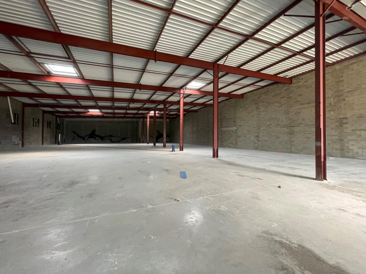 Vente local d'activité Fegersheim Bas-Rhin OVACT2309083 6