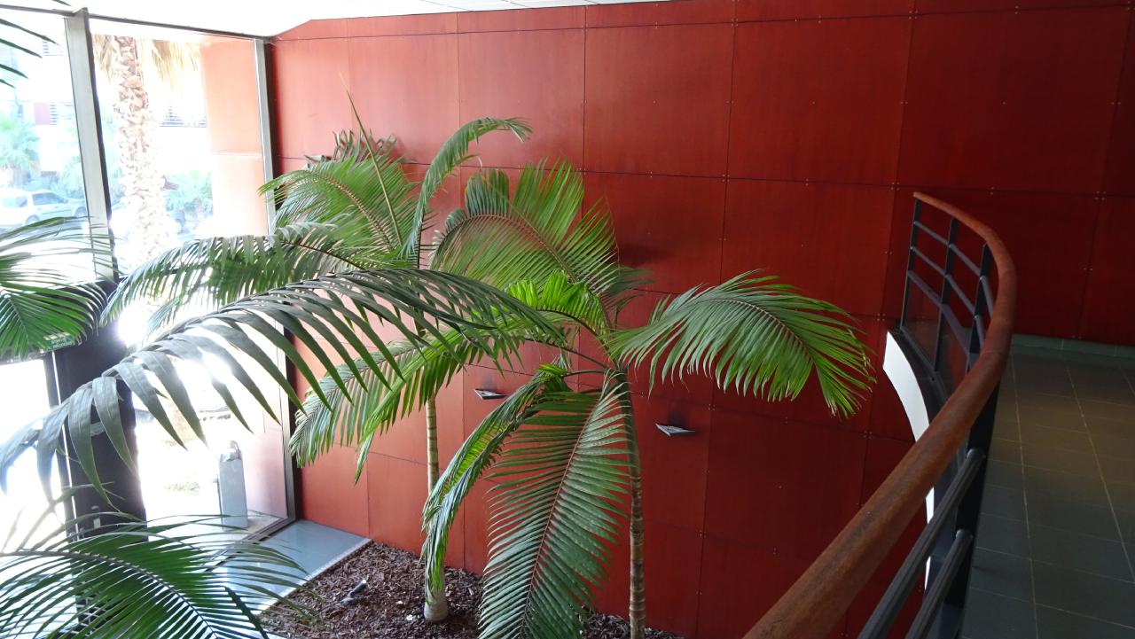 Location bureau Montpellier Hérault OLBUR2313296 3