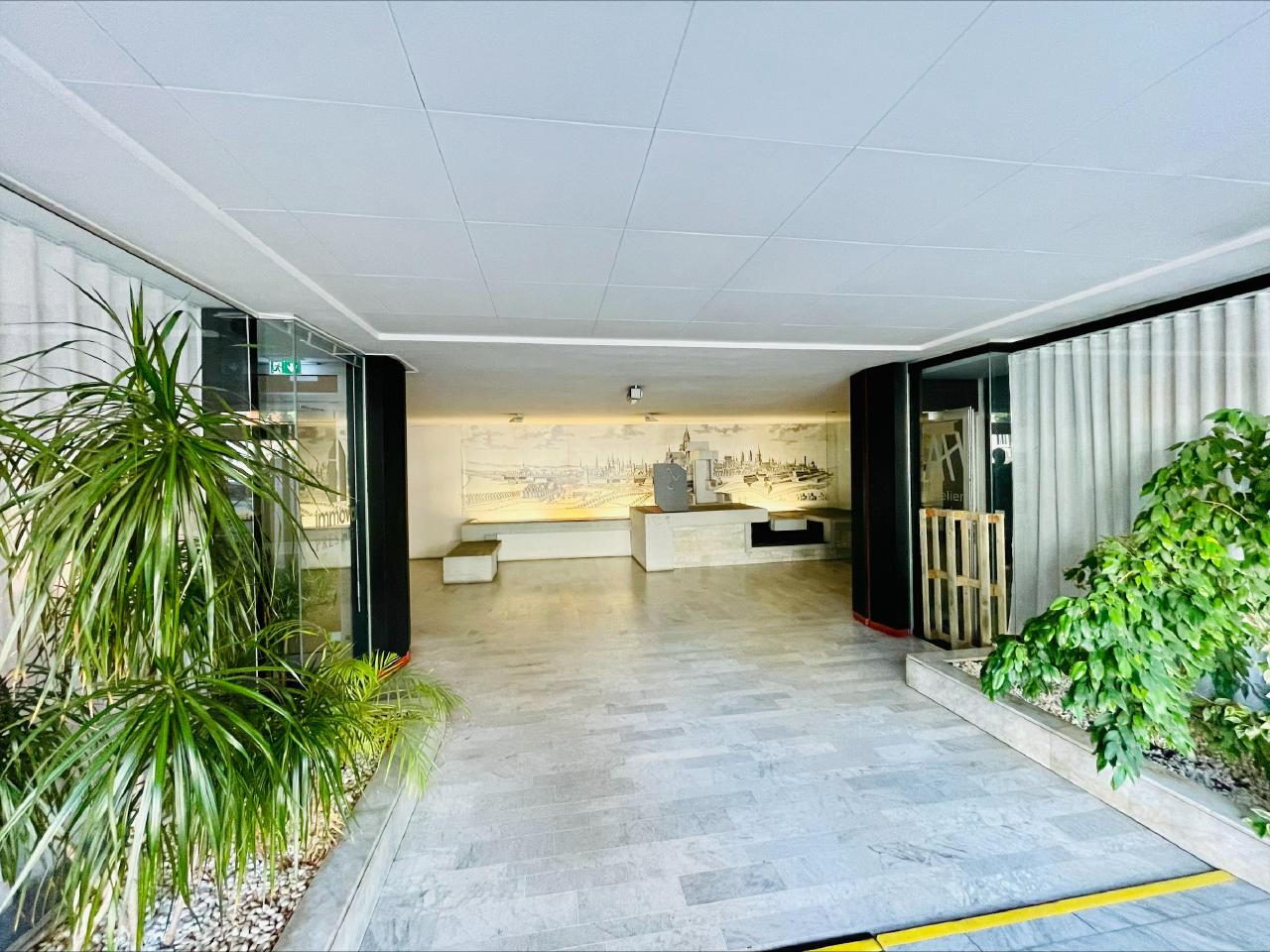 Location bureau Strasbourg Bas-Rhin OLBUR2313410 7