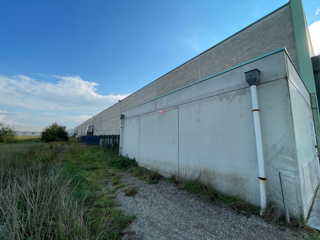 Location local d'activité Dettwiller Bas-Rhin OLACT2536553 26