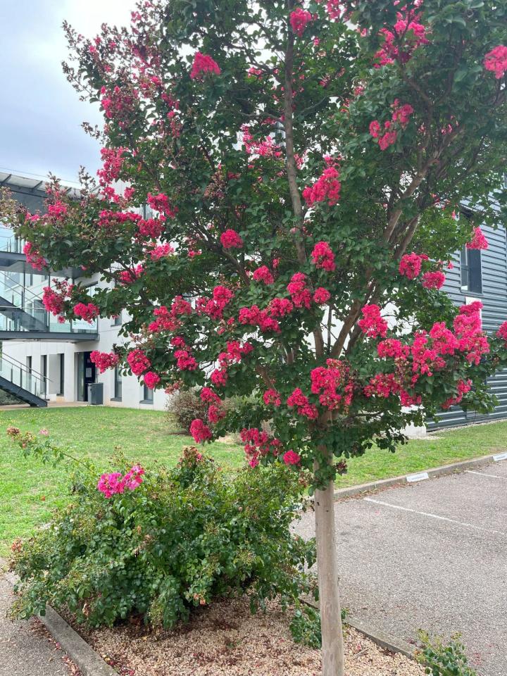 Location bureau Saint-Priest Rhône OLBUR2109029 16