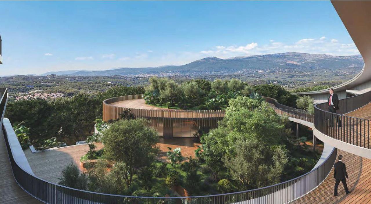 Location bureau Biot Alpes-Maritimes OLBUR2314783 17