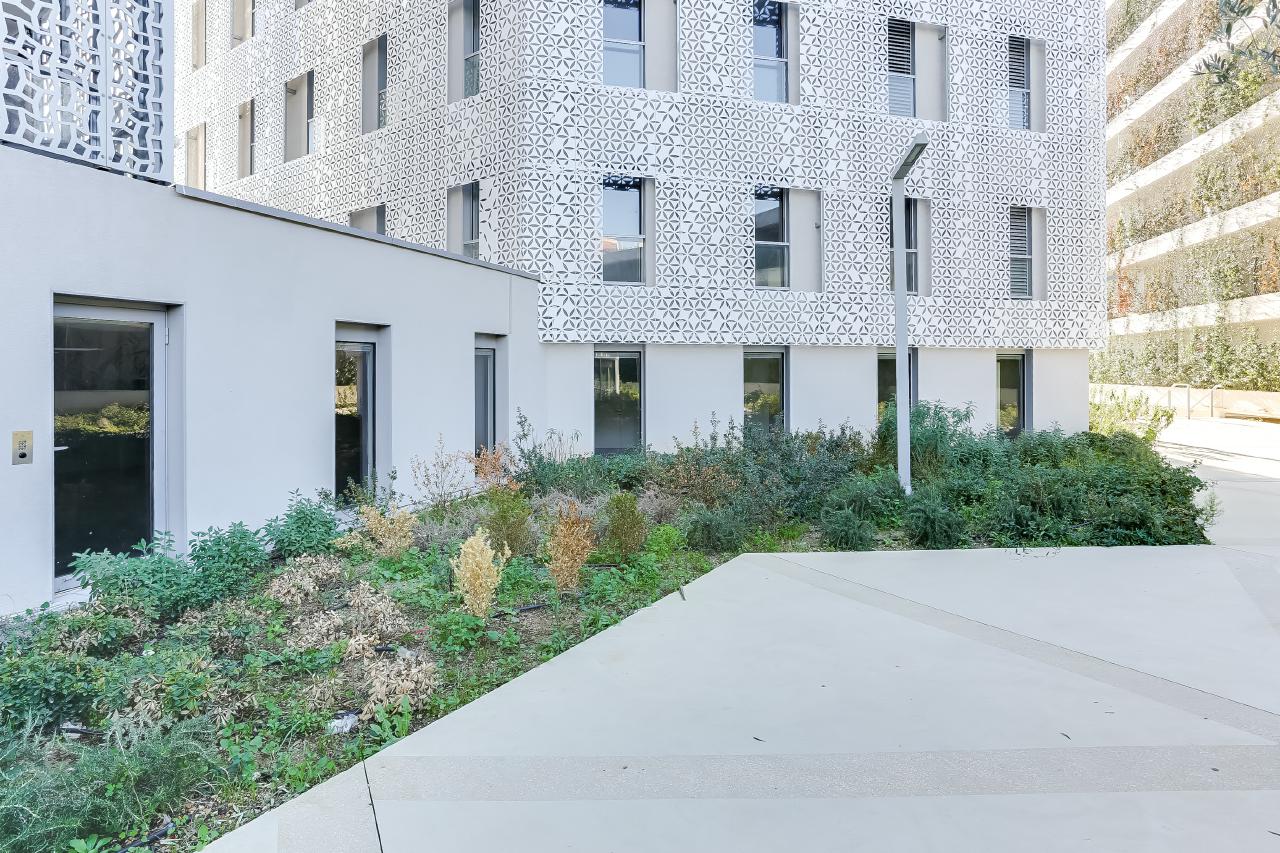 Location bureau Montpellier Hérault OLBUR2532775 5