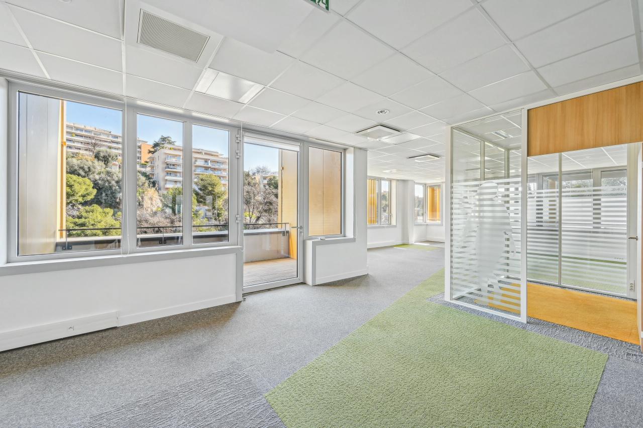 Location bureau Nice Alpes-Maritimes OLBUR2426844 11