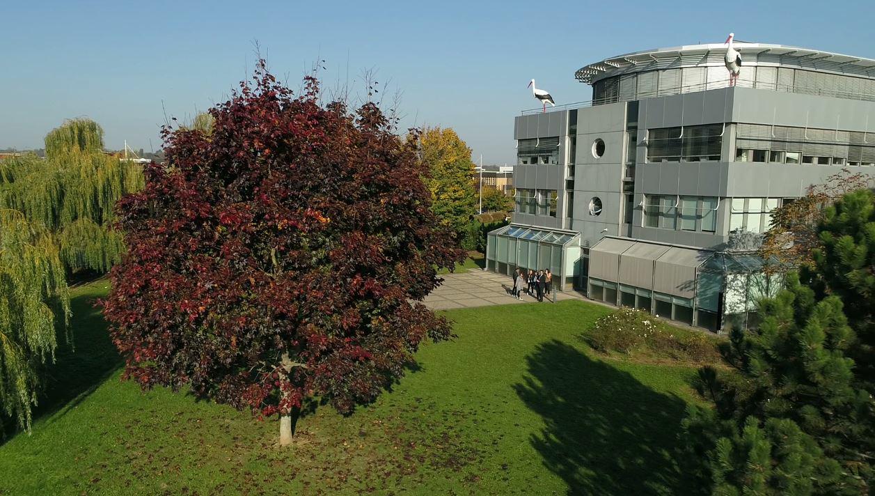 Location bureau Schiltigheim Bas-Rhin OLBUR2203532 15