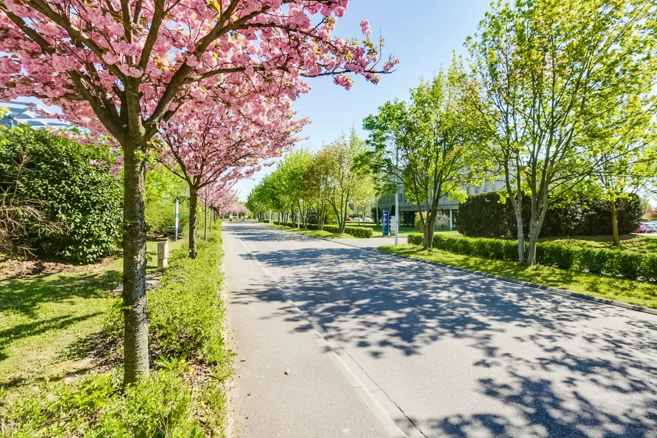 Vente local d'activité Schiltigheim Bas-Rhin OVACT2640904 11