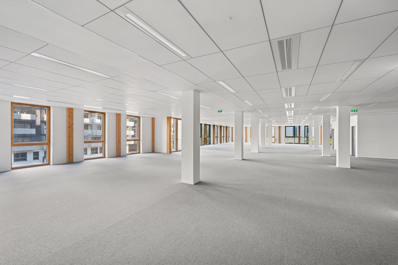 Location bureau Saint-Denis Seine-Saint-Denis OLBUR2315027 5