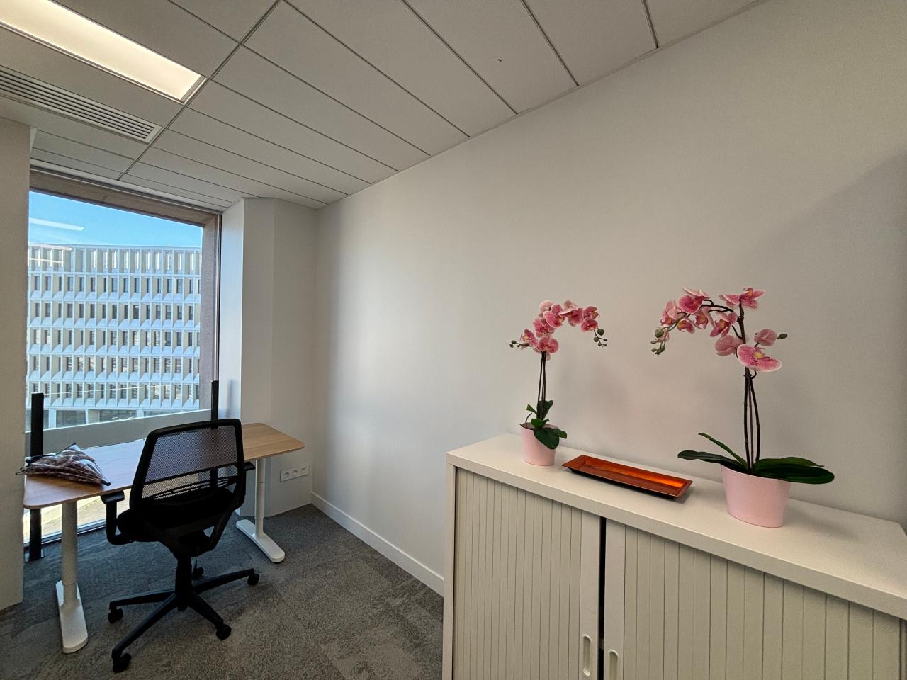 Location bureau Lyon Rhône OLBUR2640314 6