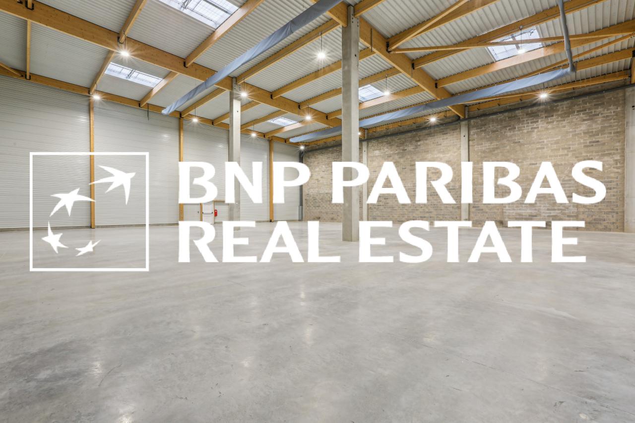 Location local d'activité Moissy-Cramayel Seine-et-Marne OLACT2201099 10