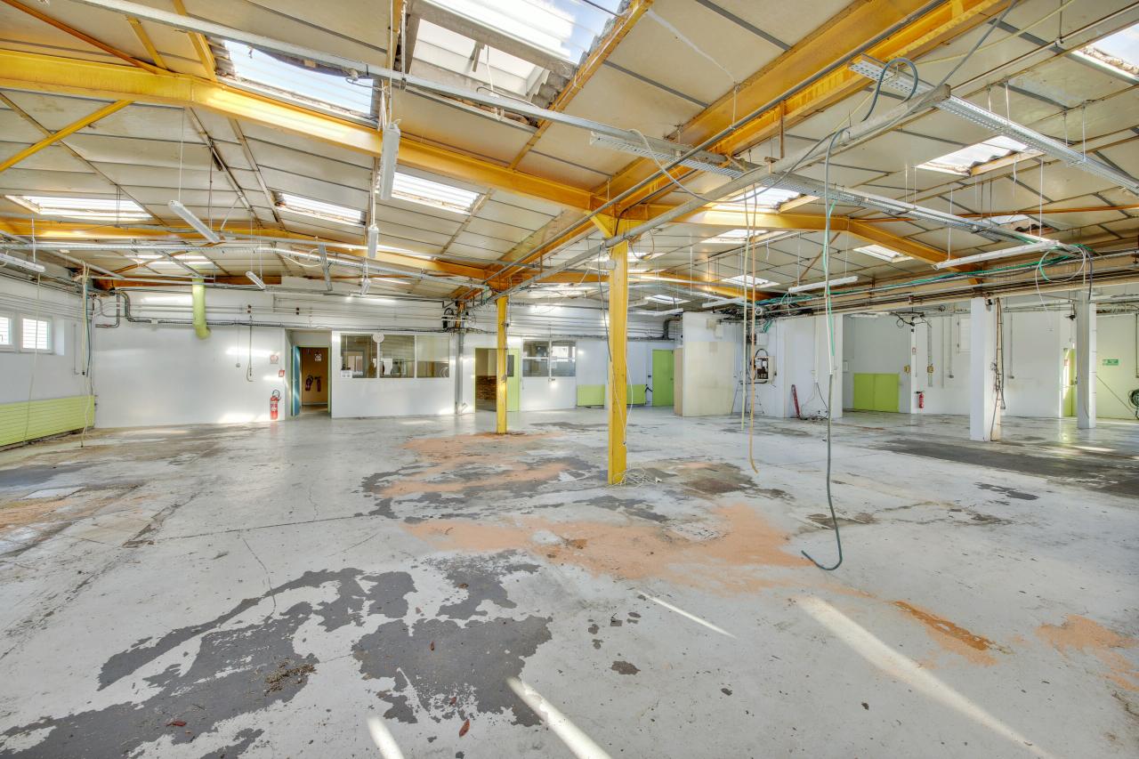Vente local d'activité Palaiseau Essonne OVACT2528901 4