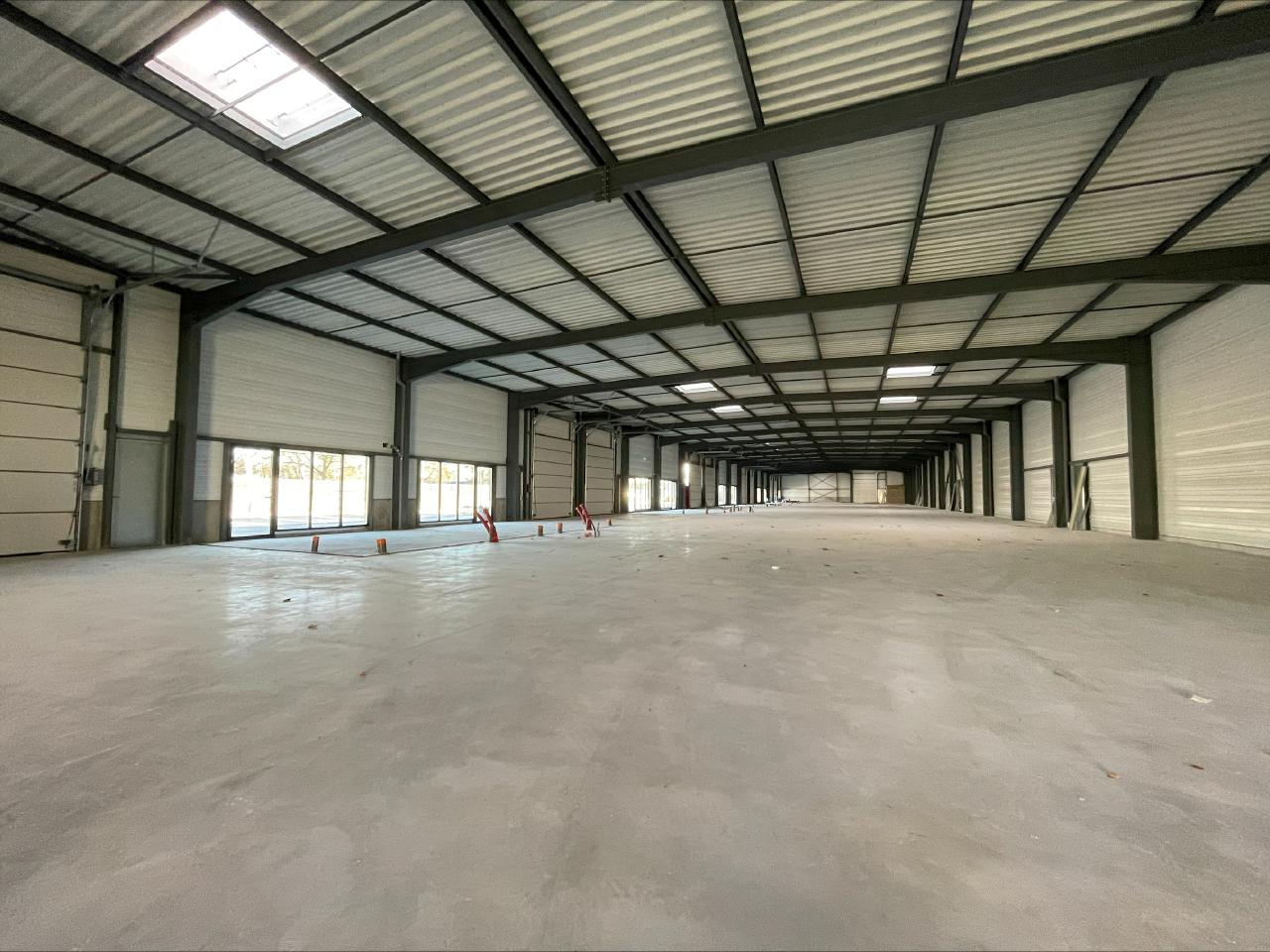 Vente local d'activité Schweighouse-sur-Moder Bas-Rhin OVACT2531243 4