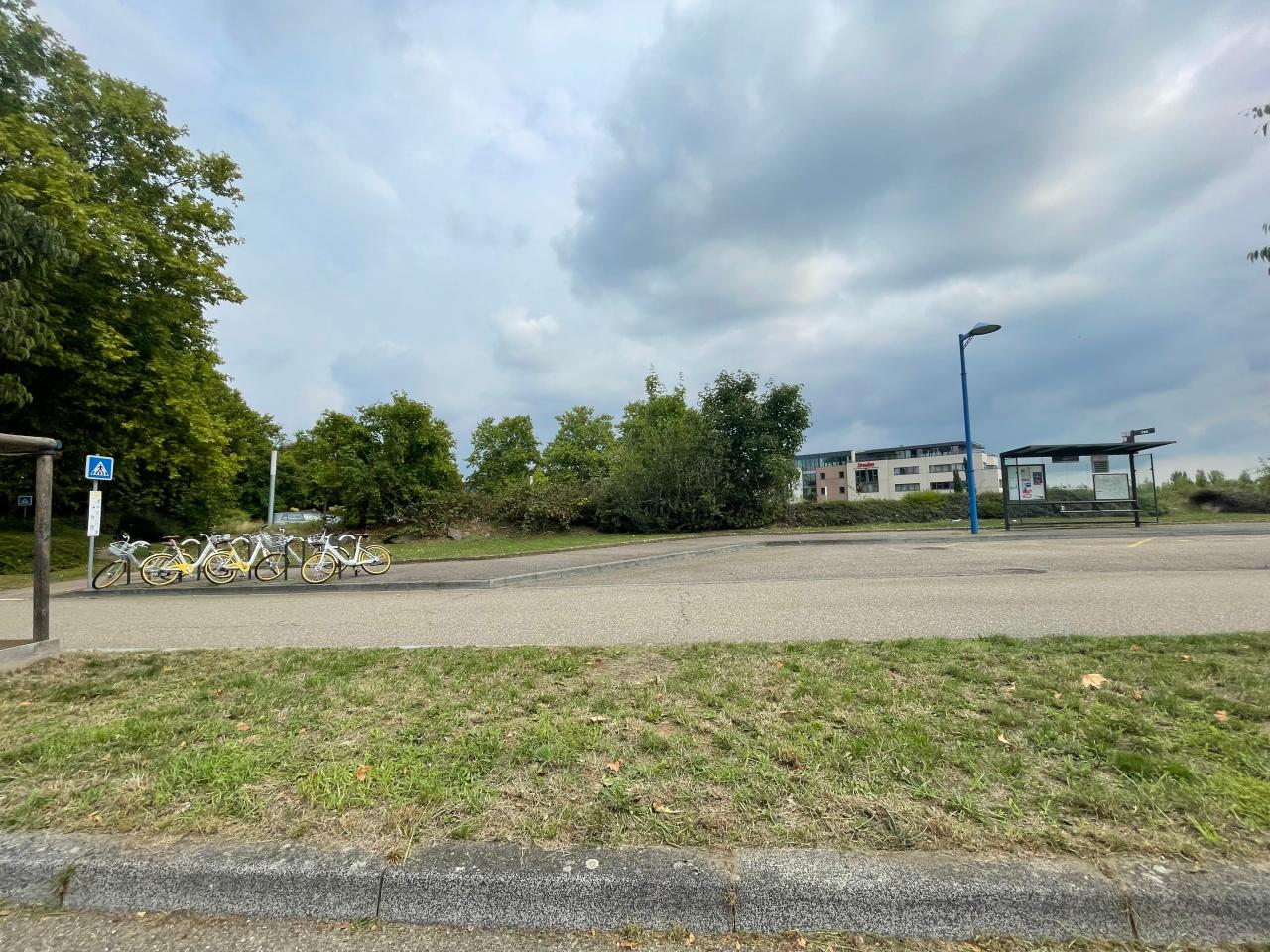 Location bureau Entzheim Bas-Rhin OLBUR2534428 10