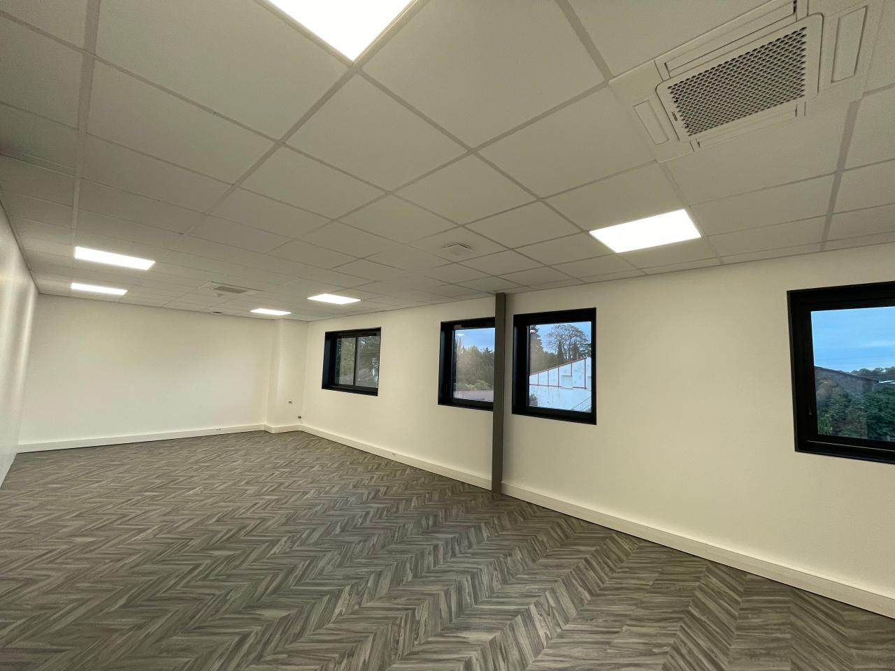 Location local d'activité Launaguet Haute-Garonne OLACT2638241 6