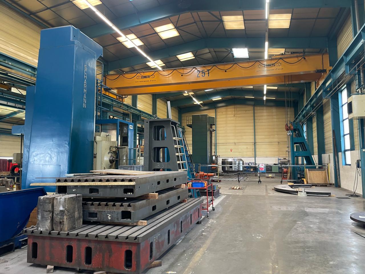 Vente local d'activité Jassans-Riottier Ain OVACT2425581 19