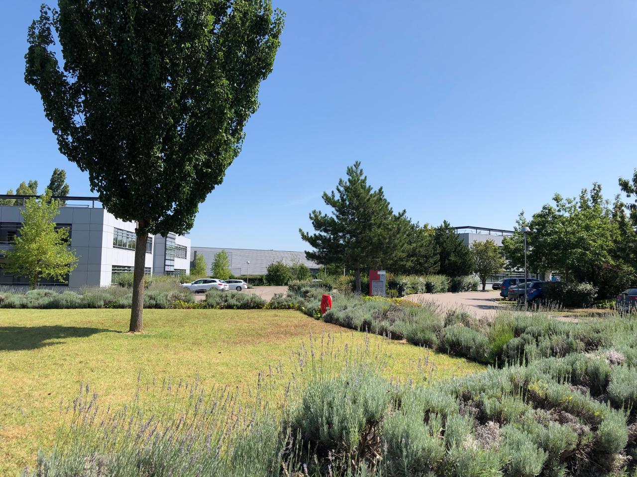 Location bureau Saint-Priest Rhône OLBUR2108990 3