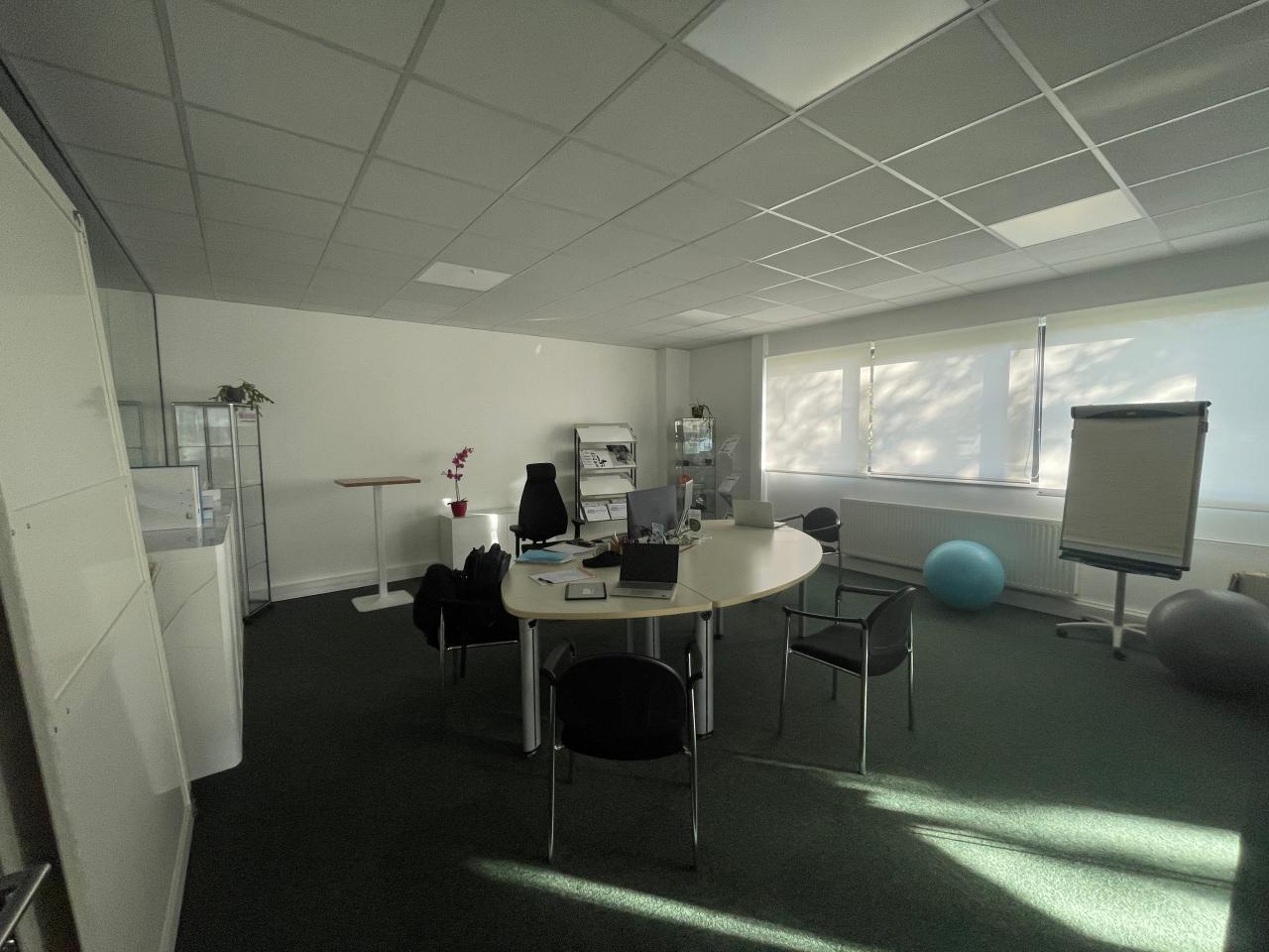 Location local d'activité Bischoffsheim Bas-Rhin OLACT2536893 8