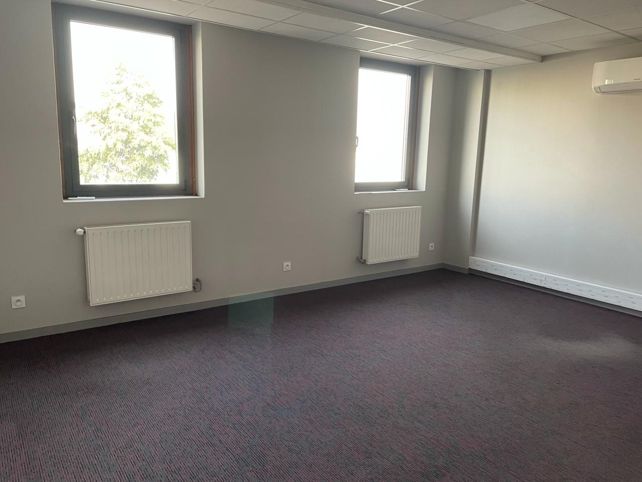 Location local d'activité Dardilly Rhône OLACT2109603 14