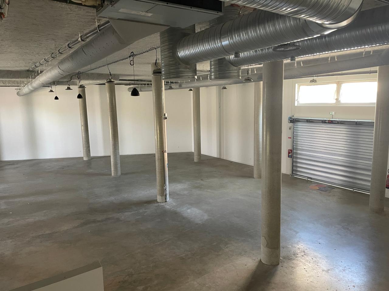 Location local d'activité Lyon Rhône OLACT2309614 12