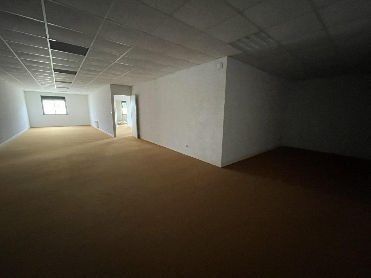 Vente local d'activité Mauguio Hérault OVACT2531477 13