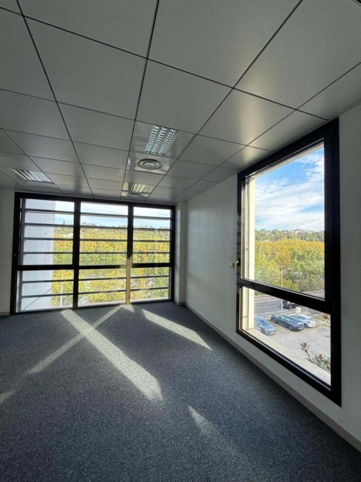 Location bureau Lyon Rhône OLBUR2420344 17