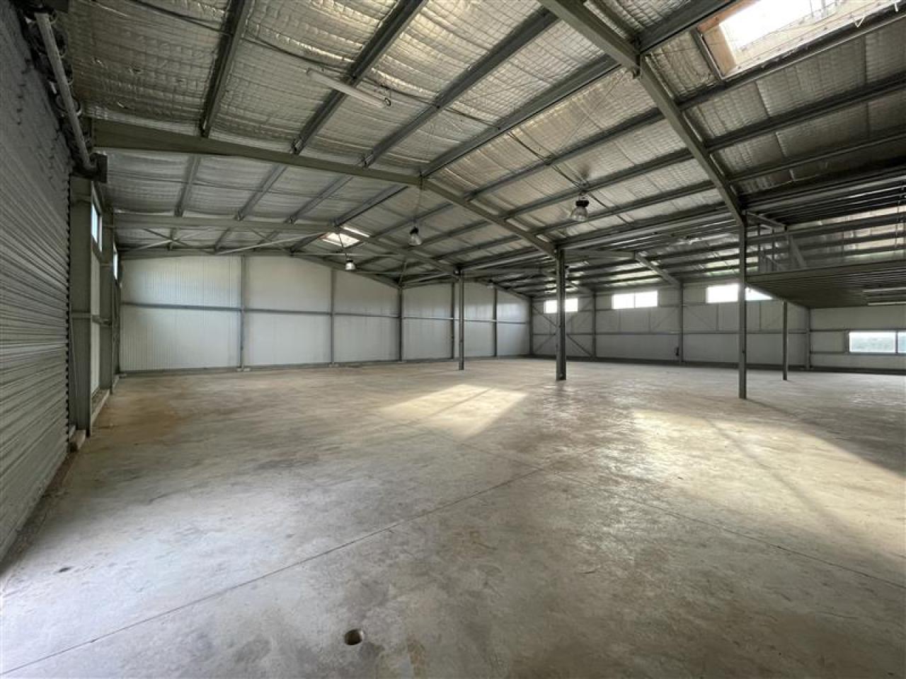 Location local d'activité Frontignan Hérault OLACT2638683 8