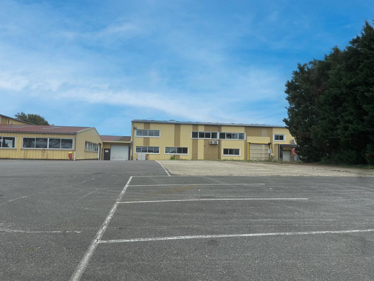 Vente local d'activité Saint-Trivier-sur-Moignans Ain OVACT2534885 9