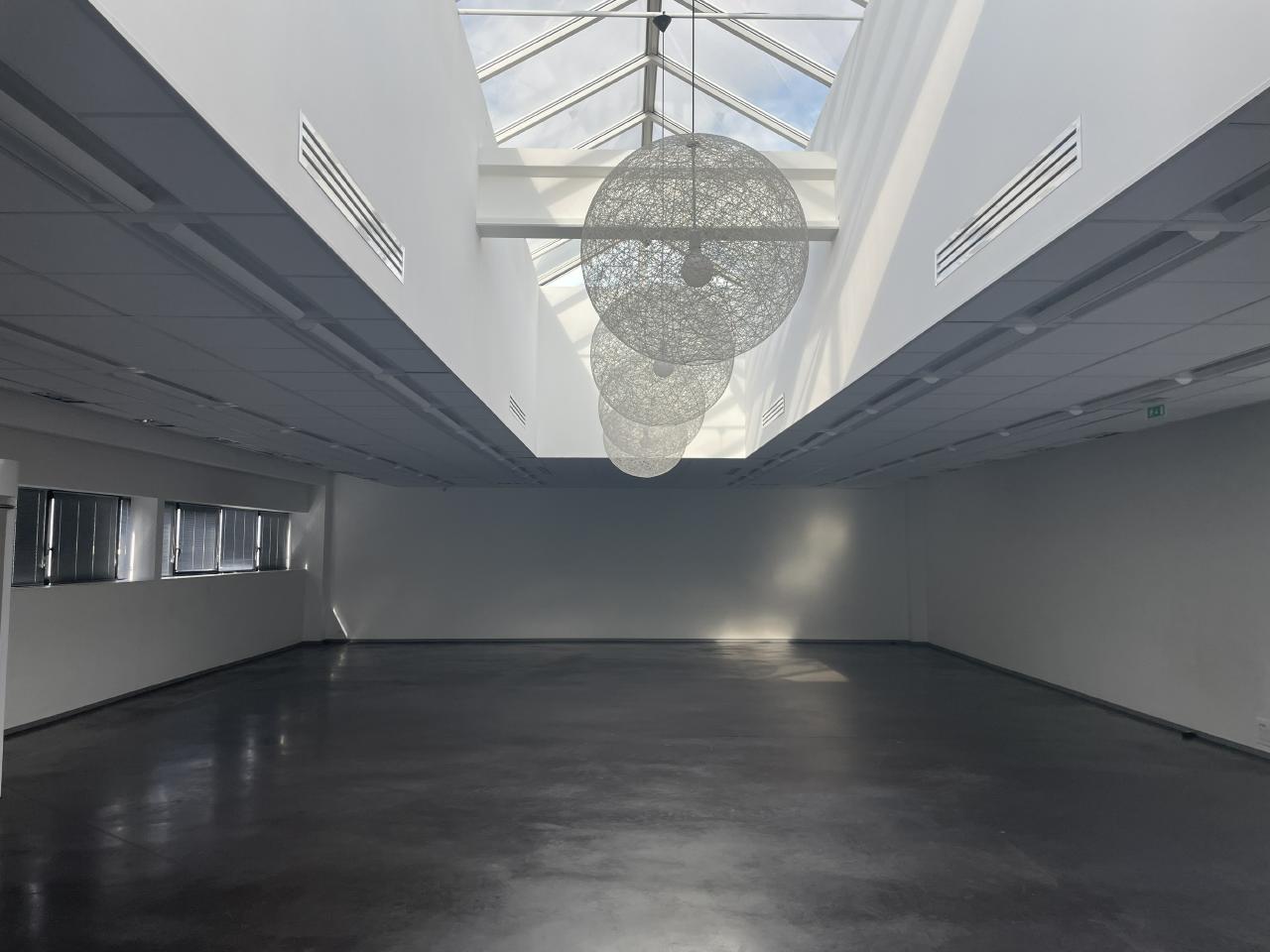 Location local d'activité Romainville Seine-Saint-Denis OLACT2421846 14