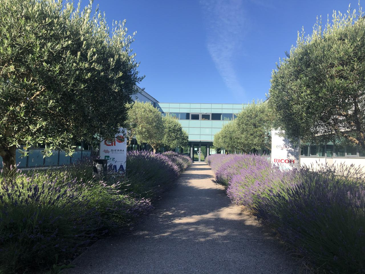 Location bureau Labège Haute-Garonne OLBUR2536344 1