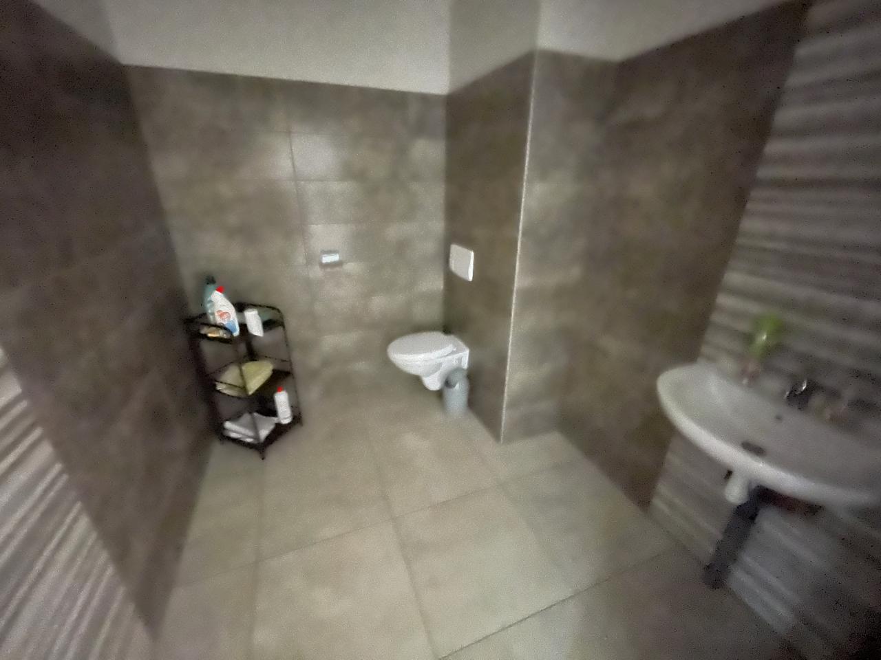 Location local d'activité Essey-lès-Nancy Meurthe-et-Moselle OLACT2424209 9