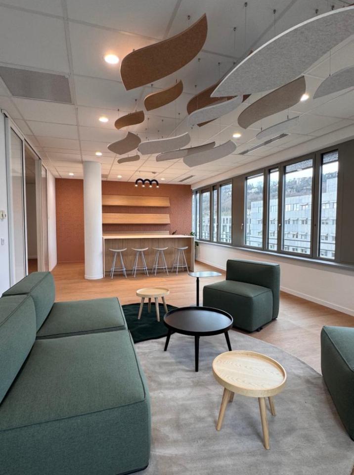 Vente bureau Lyon Rhône OVBUR2643743 9