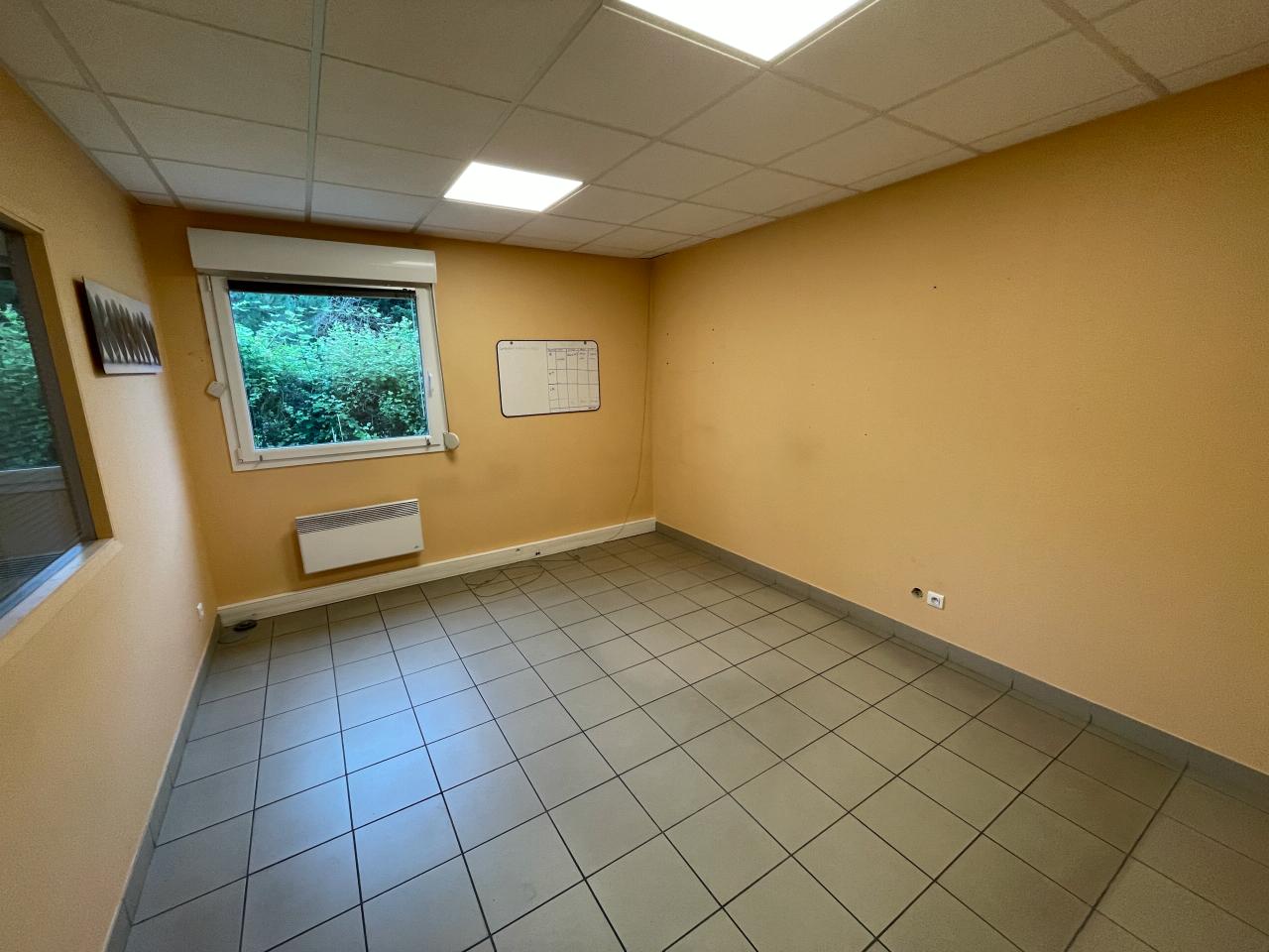 Location local d'activité Ludres Meurthe-et-Moselle OLACT2314140 13