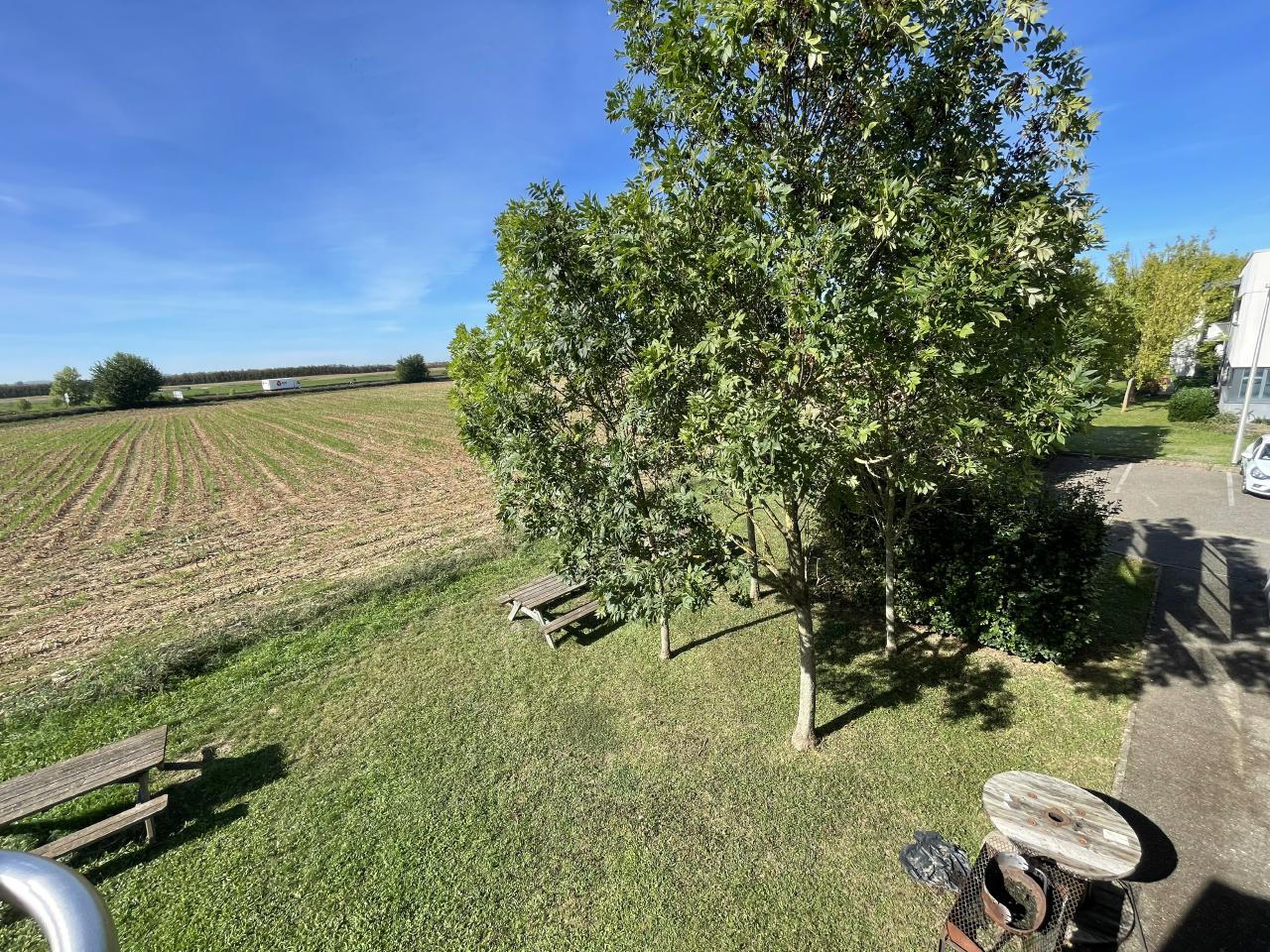 Location bureau Entzheim Bas-Rhin OLBUR2207037 14